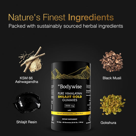 BODYWISE™ Pure Himalayan Shilajit Gold – Force & Vitalité Naturelle